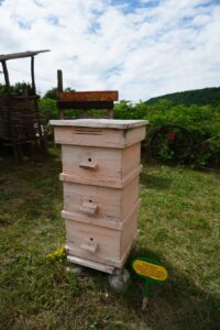 Надя Иванова