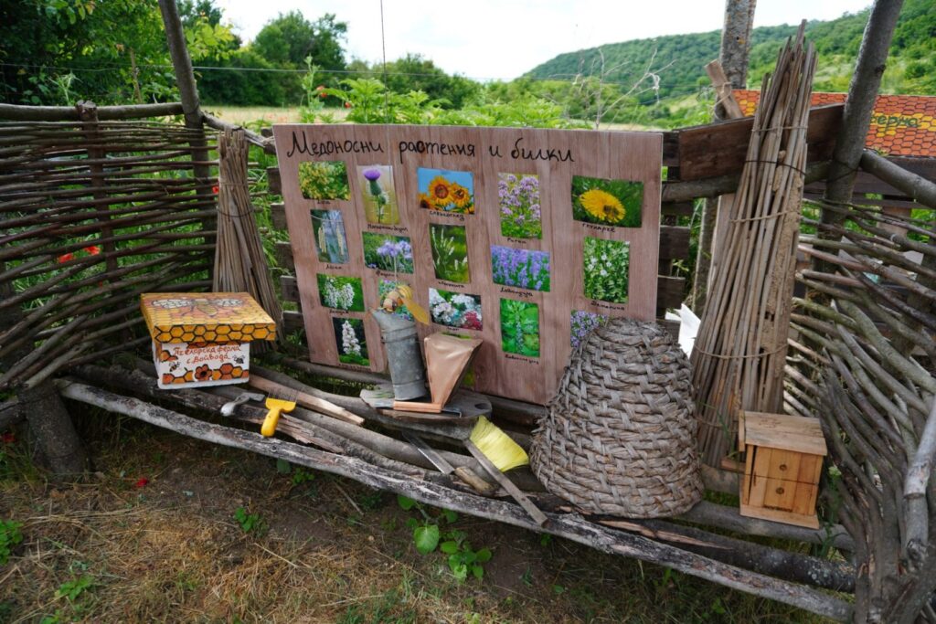Обиколка на пчелна ферма с дегустация на суров мед