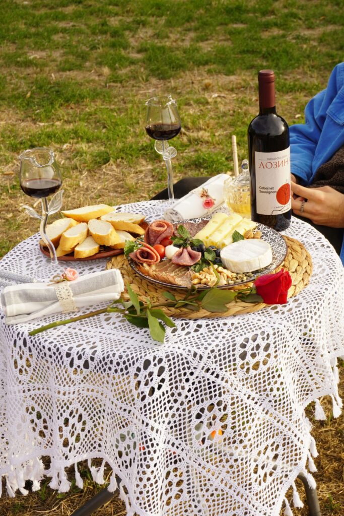 Пикник на брега на Дунава до село Байкал