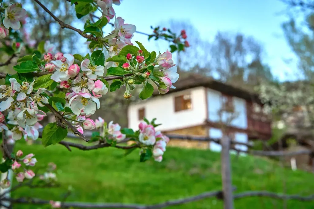 Вила Карашка – потапяне в Централен Балкан